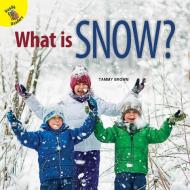 What Is Snow? di Tammy Brown edito da READY READERS