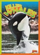 Killer Whales di Gail Terp edito da BLACK RABBIT BOOKS