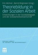 Theoriebildung in der Sozialen Arbeit edito da VS Verlag für Sozialwissenschaften