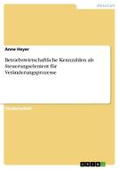 Betriebswirtschaftliche Kennzahlen als Steuerungselement für Veränderungsprozesse di Anne Heyer edito da GRIN Publishing