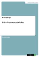 Kulturfinanzierung in Italien di Maria Schlegel edito da GRIN Verlag
