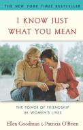 I Know Just What You Mean di Ellen Goodman, Patricia O'Brien edito da Fireside