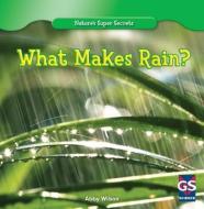 What Makes Rain? di Abby Wilson edito da Gareth Stevens Publishing