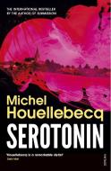 Serotonin di Michel Houellebecq edito da Random House UK Ltd