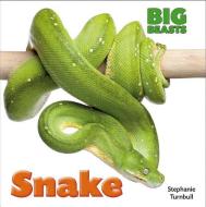 Snake di Stephanie Turnbull edito da SMART APPLE MEDIA