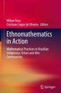 Ethnomathematics in Action edito da Springer International Publishing