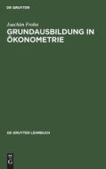 Grundausbildung in Ökonometrie di Joachim Frohn edito da De Gruyter