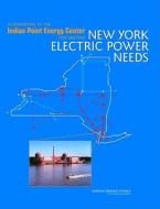 Alternatives To The Indian Point Energy Center For Meeting New York Electric Power Needs di National Research Council, Division on Engineering and Physical Sciences, Board on Energy and Environmental Systems, Committee on Alternatives to Indian  edito da National Academies Press