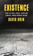 Existence di David Brin edito da Little, Brown Book Group