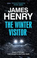 The Winter Visitor di James Henry edito da Quercus Publishing
