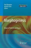 Morphogenesis edito da Springer Berlin Heidelberg