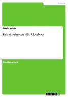 Fahrsimulatoren - Ein Überblick di Nadir Attar edito da GRIN Publishing