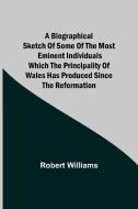 A Biographical Sketch of some of the Most Eminent Individuals which the Principality of Wales has produced since the Reformation di Robert Williams edito da Alpha Editions