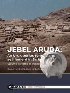 Jebel Aruda: An Uruk Period Temple And Settlement In Syria di Govert van Driel, Carol van Driel-Murray edito da Sidestone Press