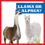 Llama or Alpaca? di Jamie Rice edito da JUMP