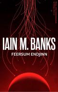 Feersum Endjinn di Iain M. Banks edito da Little, Brown Book Group