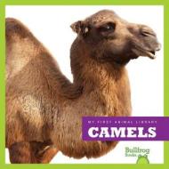 Camels di Mari C. Schuh edito da Bullfrog Books