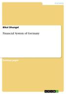 Financial System Of Germany di Bikal Dhungel edito da Grin Publishing