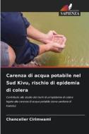 Carenza di acqua potabile nel Sud Kivu, rischio di epidemia di colera di Chancelier Cirimwami edito da Edizioni Sapienza