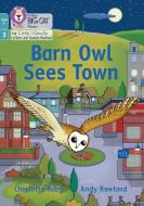 Barn Owl Sees The Town di Charlotte Raby edito da HarperCollins Publishers