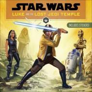 Luke Skywalker di Jason Fry edito da TURTLEBACK BOOKS