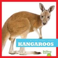 Kangaroos di Mari C. Schuh edito da Bullfrog Books