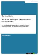 Hoch- Und Niedergerichtsrechte In Der Grundherrschaft di Thorsten Hauler edito da Grin Verlag Gmbh