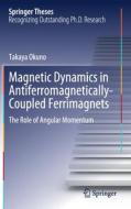 Magnetic Dynamics in Antiferromagnetically-Coupled Ferrimagnets: The Role of Angular Momentum di Takaya Okuno edito da SPRINGER NATURE
