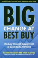 Big Change At Best Buy di Elizabeth Gibson, Andrew Billings edito da Nicholas Brealey Publishing