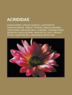 Acrididae: Catantopinae, Criquet Nomade, di Livres Groupe edito da Books LLC, Wiki Series