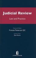 Judicial Review di Frances Silverman Patteson edito da Jordan Publishing Ltd