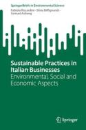 Sustainable Practices in Italian Businesses di Fabiola Riccardini, Samuel Ashong, Silvia Biffignandi edito da Springer Nature Switzerland