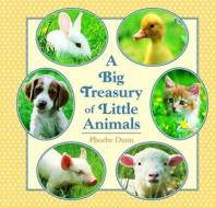 Big Treasury of Little Animals di Phoebe Dunn edito da Random House Books for Young Readers