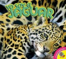 Yo Soy El Jaguar, with Code di Steve Macleod edito da AV2 BY WEIGL