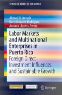 Labor Markets and Multinational Enterprises in Puerto Rico di Ahmad H. Juma'h, Doris Morales, Antonio Lloréns-Rivera edito da Springer-Verlag GmbH