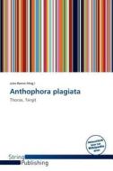 Anthophora Plagiata edito da String Publishing