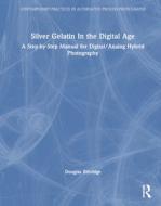 Silver Gelatin In The Digital Age di Douglas Ethridge edito da Taylor & Francis Ltd