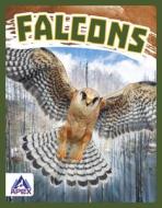 Falcons di Connor Stratton edito da APEX WEA INTL