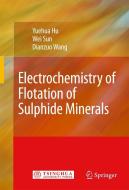 Electrochemistry Of Flotation Of Sulphide Minerals di Yuehua Hu, Wei Sun, Dianzuo Wang edito da Springer-verlag Berlin And Heidelberg Gmbh & Co. Kg