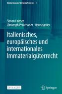 Italienisches, europäisches und internationales Immaterialgüterrecht edito da Springer-Verlag GmbH