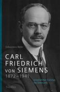 Carl Friedrich von Siemens 1872-1941 di Johannes Bähr edito da Siedler Verlag