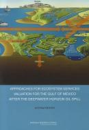 Approaches for Ecosystem Services Valuation for the Gulf of Mexico After the Deepwater Horizon Oil Spill: Interim Report di National Research Council, Division On Earth And Life Studies, Ocean Studies Board edito da NATL ACADEMY PR