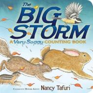 The Big Storm: A Very Soggy Counting Book di Nancy Tafuri edito da Little Simon