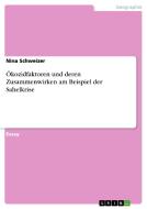 Okozidfaktoren Und Deren Zusammenwirken Am Beispiel Der Sahelkrise di Nina Schweizer edito da Grin Verlag Gmbh