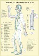 Special Points In Acupunture -- A4 di Jan van Baarle edito da Jan Van Baarle