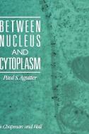 Between Nucleus and Cytoplasm di Paul Agutter edito da Springer Netherlands