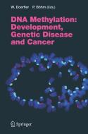 DNA Methylation: Development, Genetic Disease and Cancer di Walter Doerfler edito da Springer Berlin Heidelberg