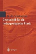 Geostatistik für die hydrogeologische Praxis di Maria-Theresia Schafmeister edito da Springer Berlin Heidelberg