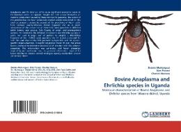 Bovine Anaplasma and Ehrlichia species in Uganda di Dennis Muhanguzi, Kim Picozzi, Charles Waiswa edito da LAP Lambert Acad. Publ.