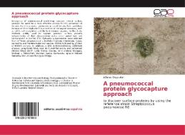 A pneumococcal protein glycocapture approach di Alfonso Olaya Abril edito da EAE